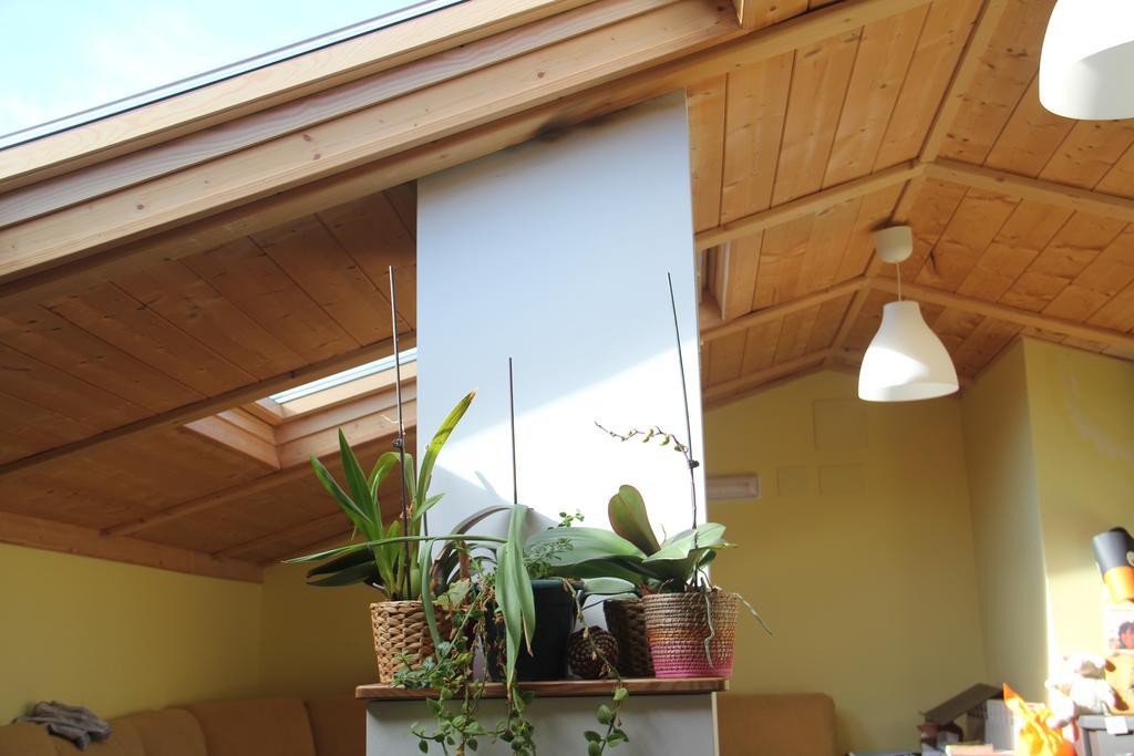 Triollo Hostel Curavacas מראה חיצוני תמונה